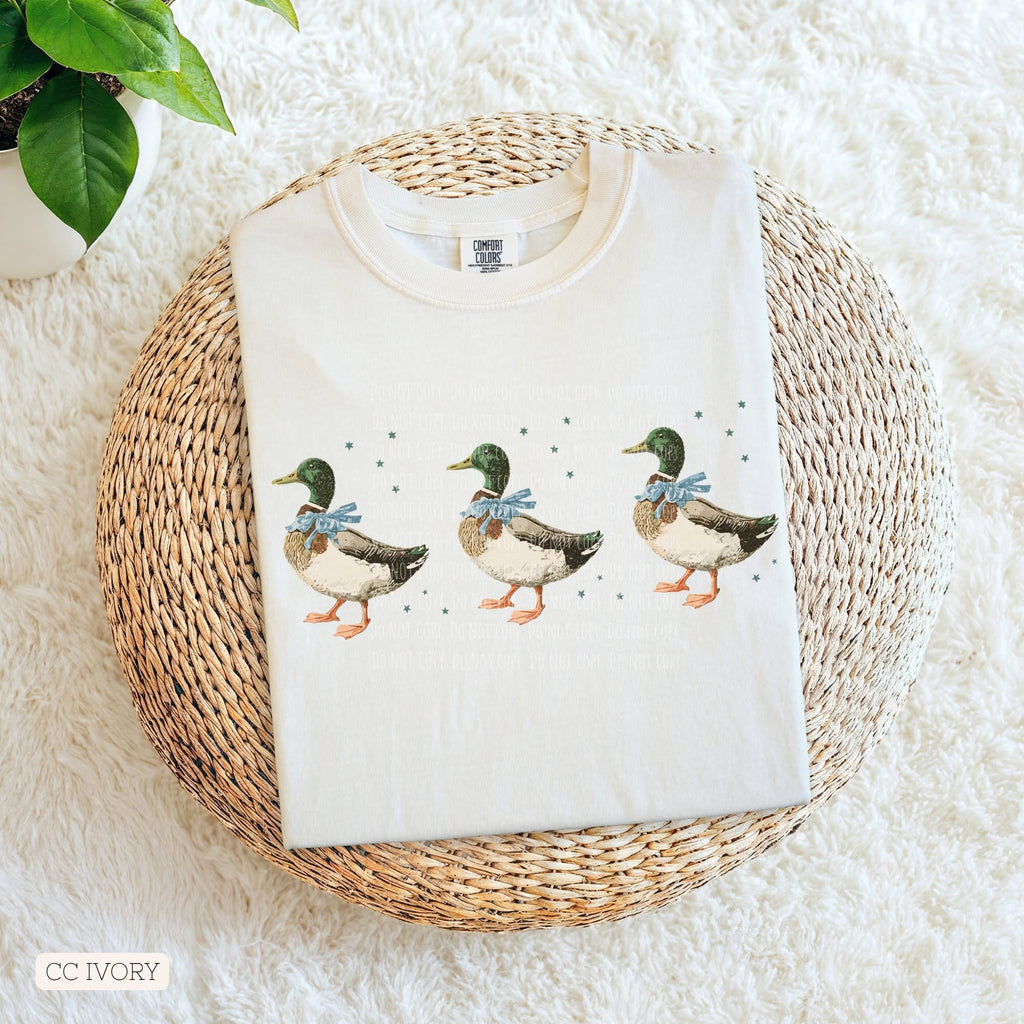 Ducks • YOUTH Comfort Color T-Shirt